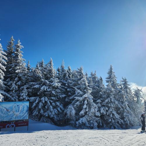 Bundeswinterspiele