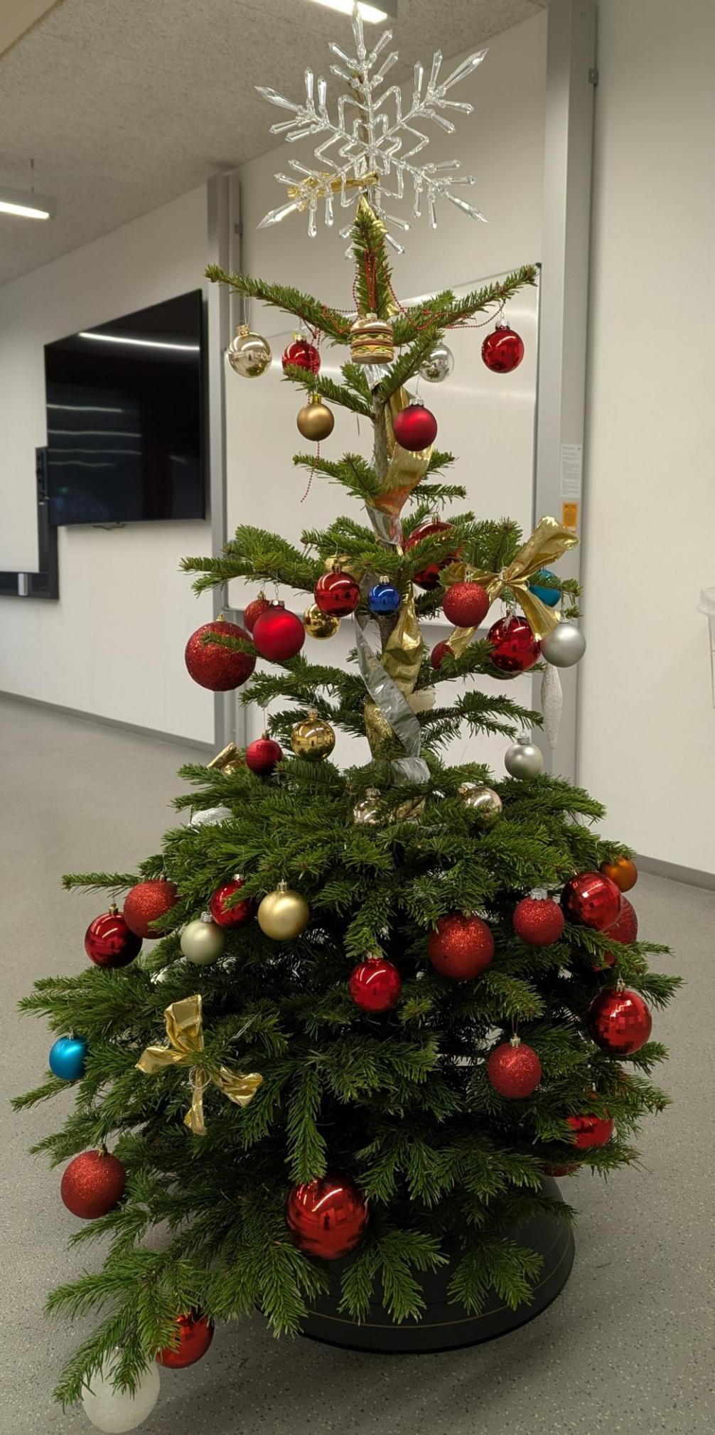 Weihnachtliche Dekoration durch unsere Schüler